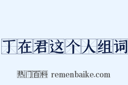 丁在君这个人组词是什么意思的图片
